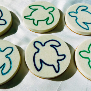 Turtle Coasters